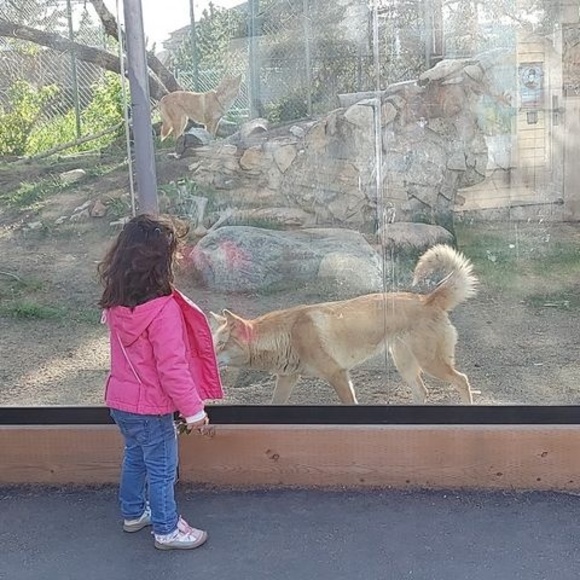 Meet your Posher, Ayesha - Picture 1 of 1